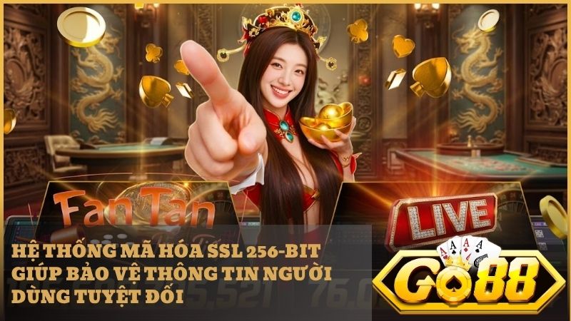 TAIGO88VIE áp dụng công nghệ SSL 256-bit bảo vệ dữ liệu hội viên tuyệt đối
