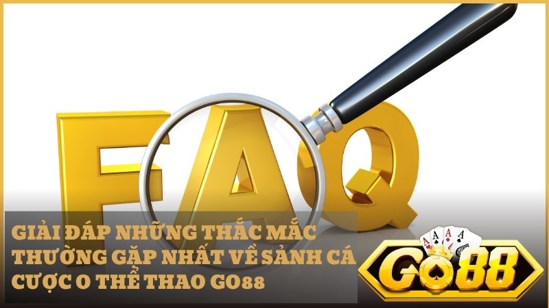 Mọi câu hỏi về sảnh O Thể Thao Go88 sẽ được chuyên gia giải đáp